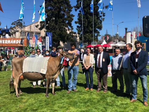 Jersey-Hembra-Cabaña-Estefan-Hermanos-