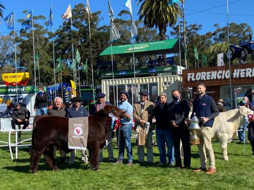 Shorthorn-Gran-Campeona-Hembra